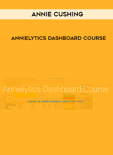 Annie Cushing – Annielytics Dashboard Course digital download