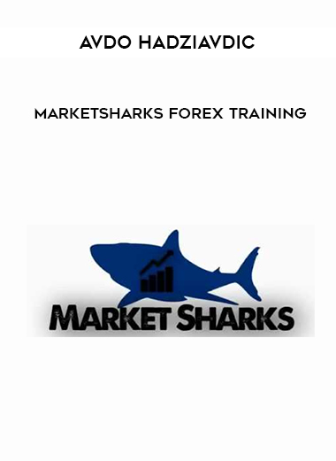 Avdo Hadziavdic - MarketSharks Forex Training digital download
