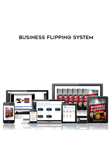 Business Flipping System digital download
