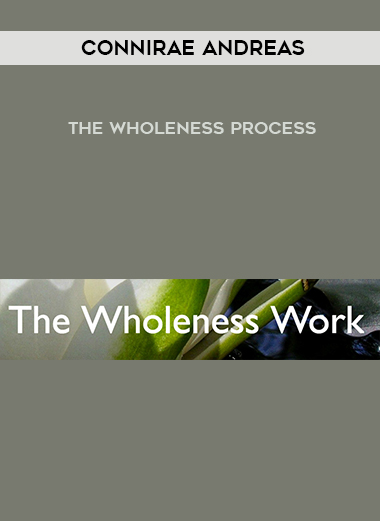 Connirae Andreas - The Wholeness Process digital download