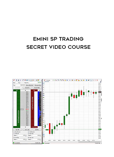 Emini SP Trading Secret Video Course digital download