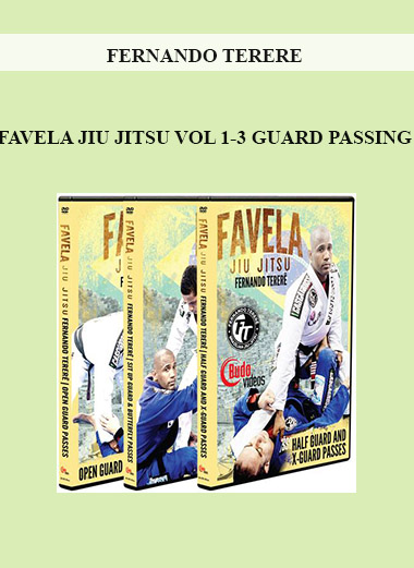 FERNANDO TERERE - FAVELA JIU JITSU VOL 1-3 GUARD PASSING digital download