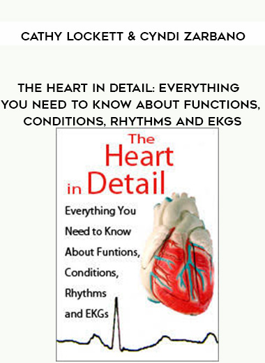 The Heart in Detail: Everything You Need to Know About Functions