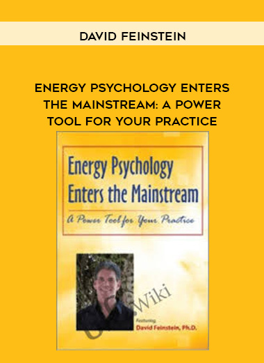 Energy Psychology Enters the Mainstream: A Power Tool for Your Practice - David Feinstein digital download