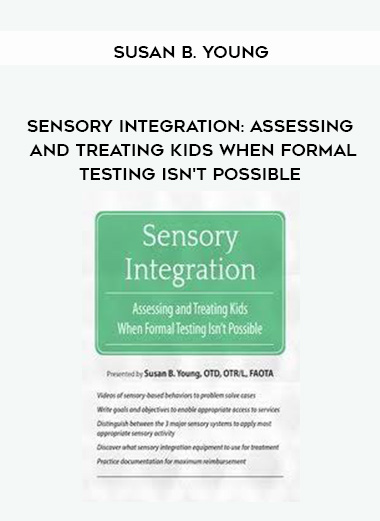 Sensory Integration: Assessing and Treating Kids When Formal Testing Isn't Possible - Susan B. Young digital download