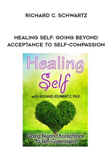 Healing Self: Going Beyond Acceptance to Self-Compassion - Richard C. Schwartz digital download