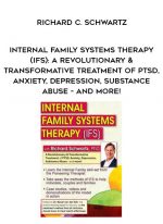 Internal Family Systems Therapy (IFS): A Revolutionary & Transformative Treatment of PTSD