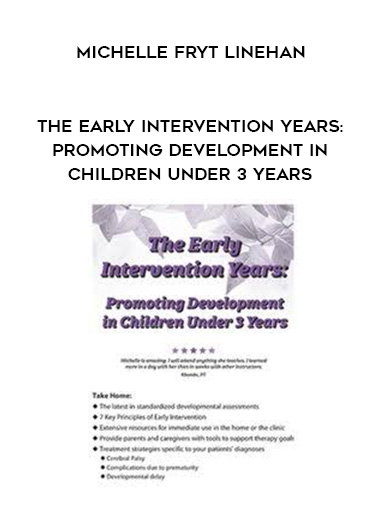 The Early Intervention Years: Promoting Development in Children Under 3 Years - Michelle Fryt Linehan digital download