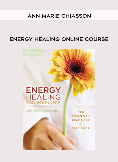 ANN MARIE CHIASSON - ENERGY HEALING ONLINE COURSE digital download