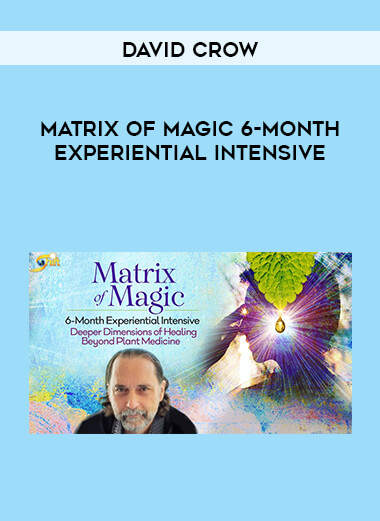 David Crow - Matrix of Magic 6-Month Experiential Intensive digital download