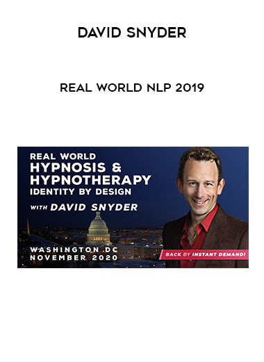 David Snyder - Real World NLP 2019 digital download