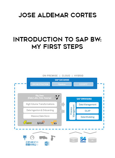 Jose Aldemar Cortes - Introduction to SAP BW: My first steps digital download