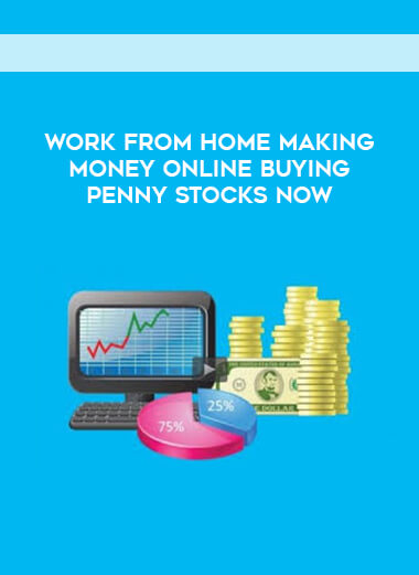 Work From Home Making Money Online Buying Penny Stocks Now digital download
