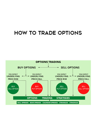How to Trade Options digital download