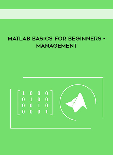 Matlab Basics for Beginners- Management digital download