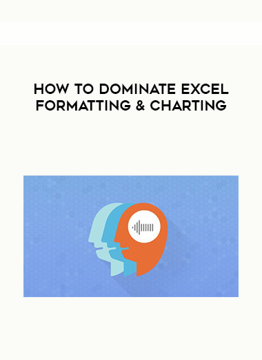 How To Dominate Excel Formatting & Charting digital download