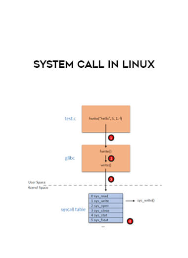System Call in Linux digital download