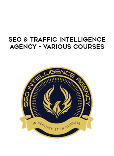 SEO & Traffic Intelligence Agency - Various Courses digital download