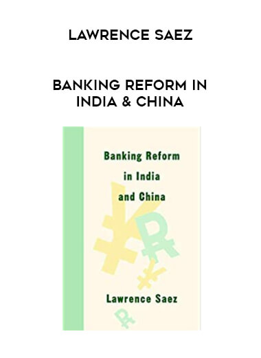Lawrence Saez - Banking Reform in India & China digital download