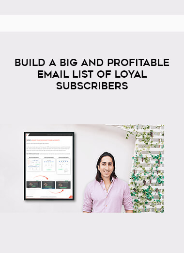 Build a Big and Profitable Email List of Loyal Subscribers digital download