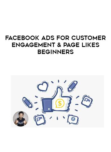 Facebook Ads For Customer Engagement & page likes Beginners digital download