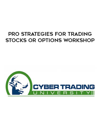 Pro Strategies for Trading Stocks or Options Workshop digital download