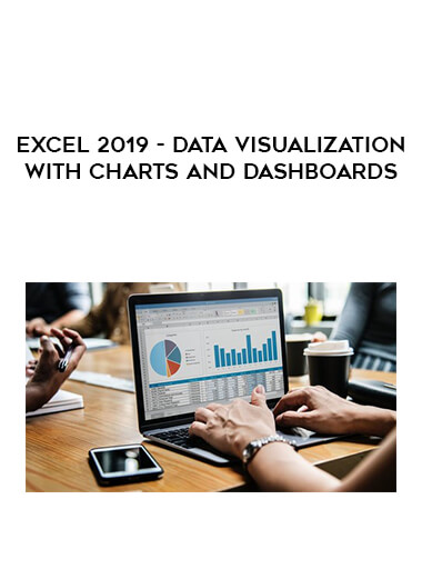 Excel 2019 - Data Visualization With Charts and Dashboards digital download