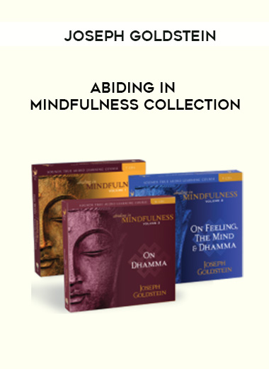 Joseph Goldstein - ABIDING IN MINDFULNESS COLLECTION digital download