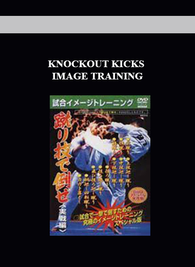 KNOCKOUT KICKS IMAGE TRAINING digital download