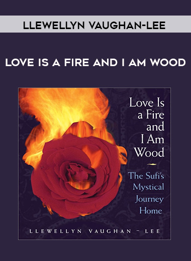 Llewellyn Vaughan-Lee - LOVE IS A FIRE AND I AM WOOD digital download