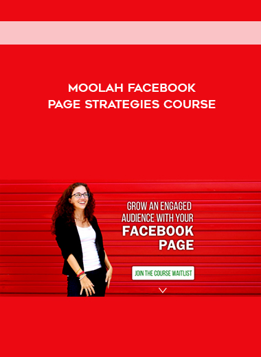 Moolah Facebook Page Strategies course digital download
