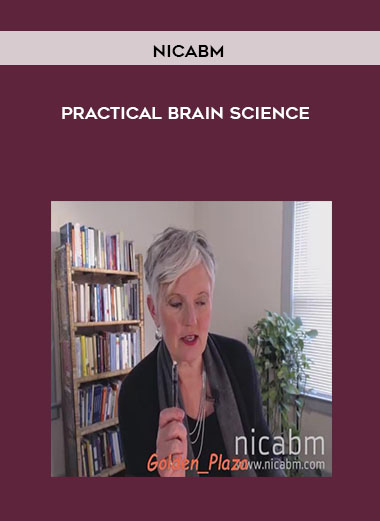 NICABM - Practical Brain Science digital download