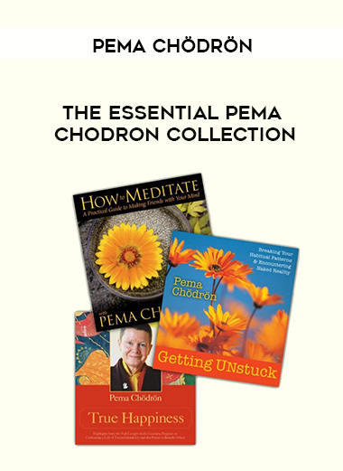 Pema Chödrön - THE ESSENTIAL PEMA CHODRON COLLECTION digital download