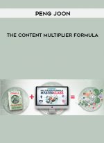 Peng Joon – The Content Multiplier Formula digital download