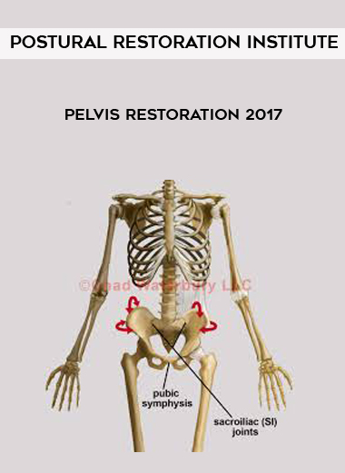 Postural Restoration Institute - Pelvis Restoration 2017 digital download