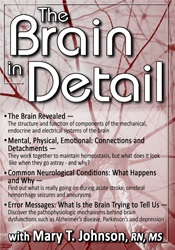 Mary T. Johnson - The Brain in Detail digital download