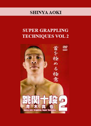 SHINYA AOKI - SUPER GRAPPLING TECHNIQUES VOL 2 digital download