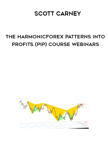 Scott Carney – The HarmonicForex Patterns into Profits (PIP) Course Webinars digital download