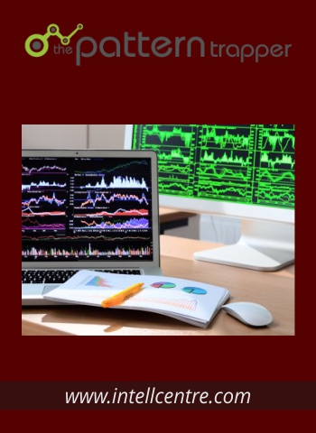 The Pattern Trapper On-Line Trading Course digital download