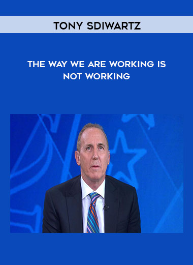 Tony Sdiwartz - The Way We Are Working Is Not Working digital download