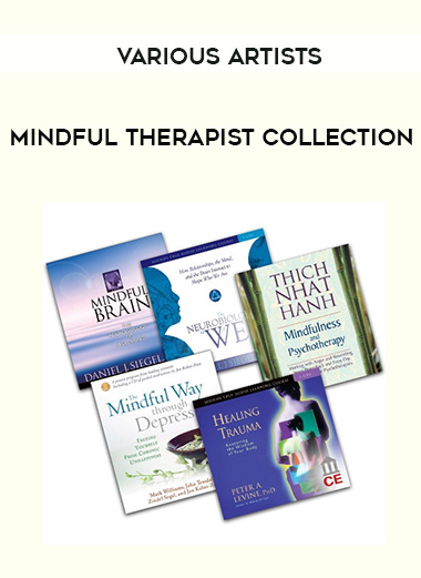 Various Artists - MINDFUL THERAPIST COLLECTION digital download