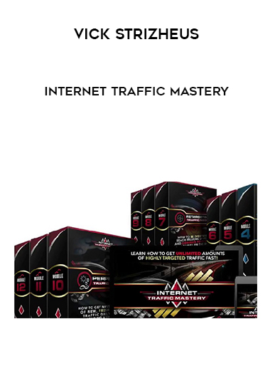 Vick Strizheus – Internet Traffic Mastery digital download