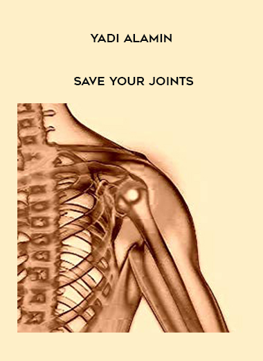Yadi Alamin - Save your Joints digital download