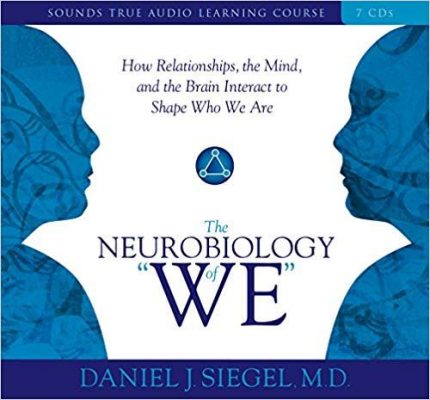 Daniel J Siegel - The Neurobiology of "We": How Relationships