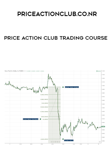 Price Action Club Trading Course digital download