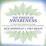 TARA BRACH - The Power of Awareness (Course Available 9/10/18) digital download