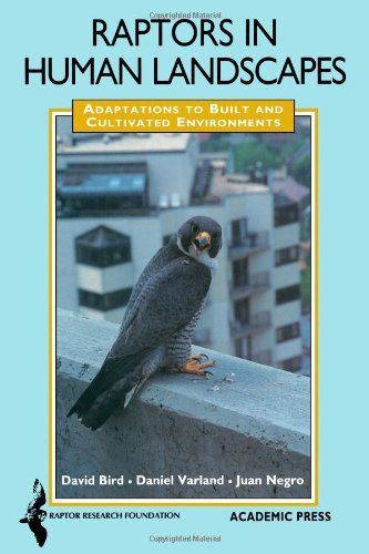 Raptors in Human Landscapes: Adaptations to Built and Cultivated Environments - David Michael Bird