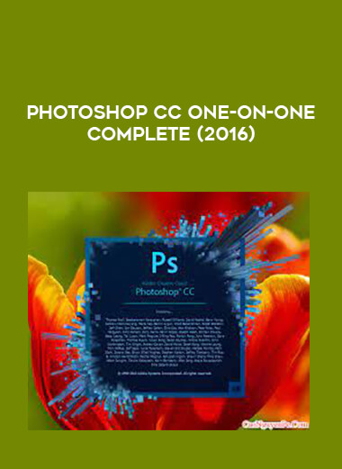 Get Photoshop CC One-on-One Complete (2016) at https://intellcentre.store
